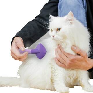 Foto 4 | Foto 4 | Cepillo para Gato Fancy Pets FL8331 color Púrpura