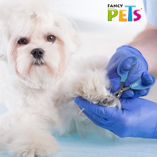 Foto 4 | Foto 4 | Tijera Cortauñas para Gato Tamaño Grande Fancy Pets