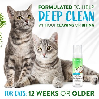 Foto 4 | Foto 4 | Champú Sin Agua Para Gatos Tropiclean Aqua De Coco 220 Ml - Venta Internacional.