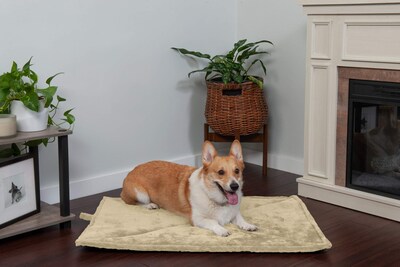 Foto 4 | Foto 4 | Cama Para Gatos Furhaven Thermanap, Autocalentable, Lavable, Crema, Pequeña - Venta Internacional.
