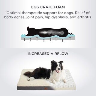 Foto 3 | Foto 3 | Cama Ortopédica Mediana Para Perros Con Funda Extraíble Y Lavable - Venta Internacional.