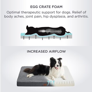 Foto 3 | Foto 3 | Cama Ortopédica Grande Para Perros Con Funda Extraíble Y Lavable - Venta Internacional.
