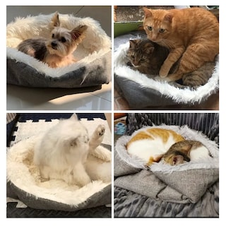 Foto 3 | Foto 3 | Cama Para Mascotas Suave Belug, Gris Claro Y Oscuro