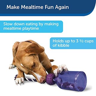 Foto 2 | Foto 2 | Juguete Dispensador De Comida Para Perros Petsafe Busy Buddy Tug-a-jug - Venta Internacional.