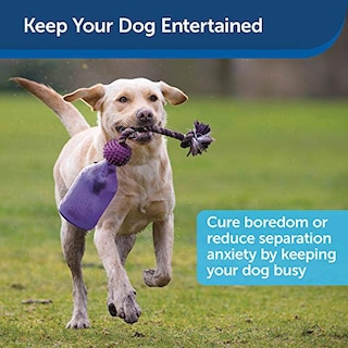 Foto 4 | Foto 4 | Juguete Dispensador De Comida Para Perros Petsafe Busy Buddy Tug-a-jug - Venta Internacional.