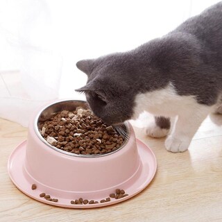 Foto 1 | Foto 1 | Pet Bowl Huoguo, Bonito Gato Y Perro, Columna Cervical De 15 Grados - Venta Internacional.