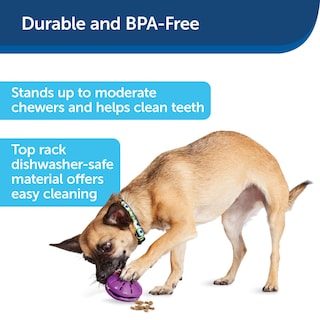 Foto 5 | Foto 5 | Dispensador De Juguetes Para Perros Petsafe Busy Buddy Twist 'n Treat, Color Morado - Venta Internacional.