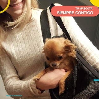Foto 3 | Foto 3 | Bolsa Transportadora de Mascotas Poli Pets PP-TPMBK-GD color Negro