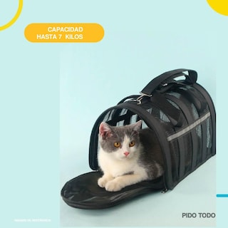 Foto 3 | Foto 3 | Bolso Transportador de Mascotas Poli Pets PP-TPMRBK-M color Negro con Franjas Reflectantes