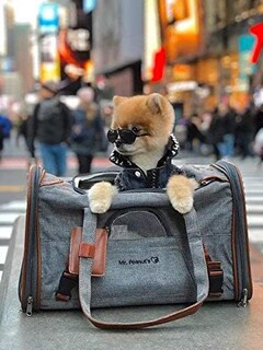 Foto 7 | Foto 7 | Transportín Para Mascotas Aprobado Por Mr. Peanut's Airline Con Lados Blandos Y Bajos - Venta Internacional.