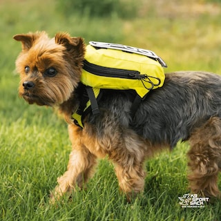 Foto 6 | Foto 6 | Mochila Portabebés K9 Sport Sack Walk-on Small Shark Grey - Venta Internacional.