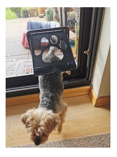 Foto 2 | Foto 2 | Puerta Malla para Mascota Pequeña Negro y Gris