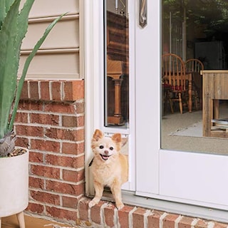 Foto 1 | Foto 1 | Inserto Corredizo De Vidrio Para Puerta Para Mascotas Petsafe Para Gatos Y Perros - Venta Internacional.