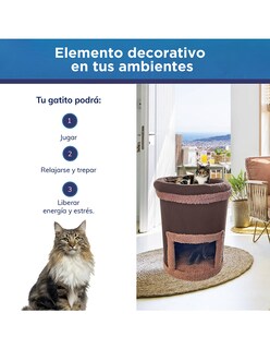Foto 6 | Foto 6 | Cama Rascador para Mascota Golden King Mini Jumbo color Café