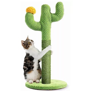 Foto 2 | Foto 2 | Poste Rascador de Cactus Eo Safe Imports Esi-7835 color Verde para Gatos