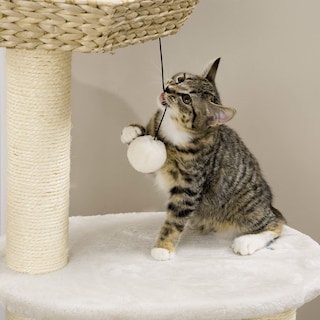 Foto 7 | Foto 7 | Centro De Actividades Cat Tree Pawhut 47 Kitty Para Gatos De Menos De 10 Libras - Venta Internacional.