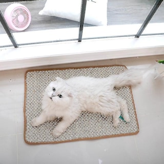Foto 5 | Foto 5 | Almohadilla Para Rascar Gatos Huoguo Xl, Resistente Al Desgaste - Venta Internacional.