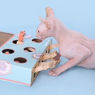 Foto 3 | Foto 3 | Tabla Rascadora Para Gatos Huoguo, 2 En 1, De Cat Toy - Venta Internacional.