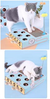 Foto 6 | Foto 6 | Tabla Rascadora Para Gatos Huoguo, 2 En 1, De Cat Toy - Venta Internacional.