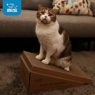 Foto 6 | Foto 6 | Almohadillas De Recambio Cat Scratcher Best Pet Supplies, Cartón Corrugado - Venta Internacional.