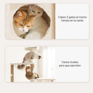 Foto 6 | Foto 6 | Árbol Rascador Para Gatos 9 Niveles Diseño De Queso Torre De 170 Cm Con Plataforma Casita Y Pelotas Interactivas