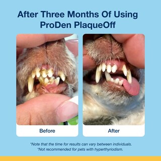 Foto 5 | Foto 5 | Suplemento Proden Plaqueoff Soft Chews Para Gatos 45 Unidades - Venta Internacional.