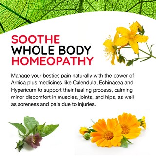 Foto 5 | Foto 5 | Gotas Para Aliviar El Dolor Para Mascotas Medinatura T-relief Arnica 50 Ml - Venta Internacional.