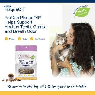 Foto 4 | Foto 4 | Dental Bites Proden Plaqueoff, Cucharas, Salmón Para Gatos De 45 Años - Venta Internacional.