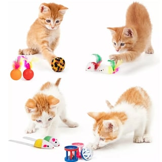 Foto 3 | Foto 3 | Juguetes Eo Safe Imports Esi-7828 Multicolor 22 Piezas para Gato no incluye Mascota