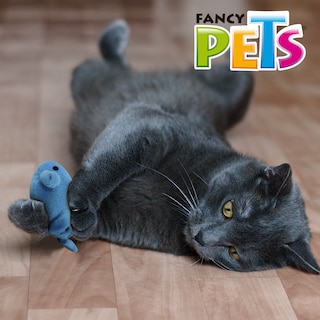 Foto 6 | Foto 6 | Juguete Catch con Forma de Pez Fancy Pets FL8270 que Vibra para Gato Contiene 1 Pieza