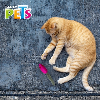 Foto 2 | Foto 2 | Fancy Pets Juguete Ratón Con Cola De Peluche Para Gato Mide 7 Centímetros