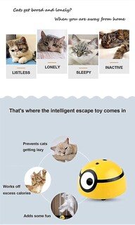Foto 3 | Foto 3 | Pelota De Escape Interactiva Para Gatos Huoguo Catch Me Kitty - Venta Internacional.