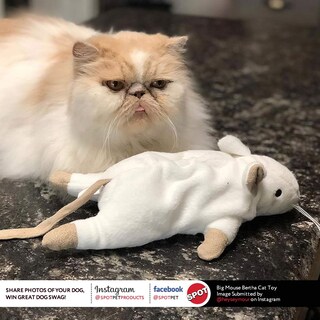 Foto 3 | Foto 3 | Juguete Para Gatos Ethical Pets Big Mouse Bertha Con Catnip & Crinkle Sound - Venta Internacional.