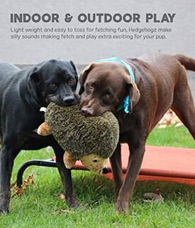 Foto 4 | Foto 4 | Juguete De Peluche Para Perros Outward Hound Kyjen Hedgehogz - Venta Internacional.