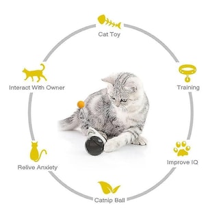 Foto 4 | Foto 4 | Divertido Juguete Para Gatos Cat Toys Huoguo Con Varita Para Catnip - Venta Internacional.