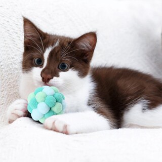 Foto 5 | Foto 5 | Pelota Elástica Para Gatos, Divertida, Con Cascabel, Para Gatos, Huoguo - Venta Internacional.