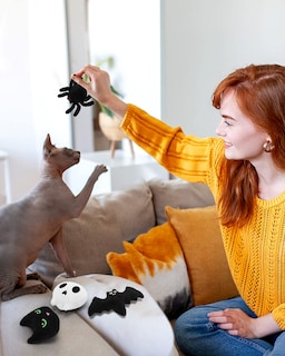 Foto 4 | Foto 4 | Peluche Para Masticar Catnip Toys Ciyvolyeen Para Halloween Con Forma De Gato, 6 Unidades - Venta Internacional.