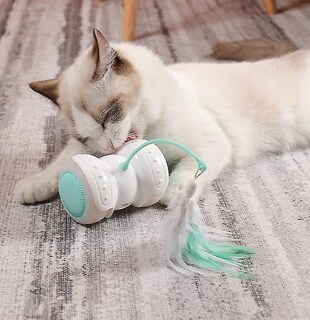 Foto 4 | Foto 4 | Coche Eléctrico Para Burlarse De Cat Toy Huoguo Con Control Remoto Led - Venta Internacional.