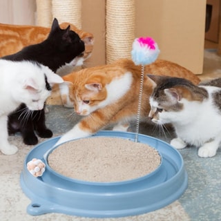 Foto 3 | Foto 3 | Pelota Elástica Para Gatos, Divertida, Con Cascabel, Para Gatos, Huoguo - Venta Internacional.
