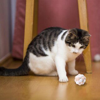 Foto 4 | Foto 4 | Pelota Elástica Para Gatos, Divertida, Con Cascabel, Para Gatos, Huoguo - Venta Internacional.