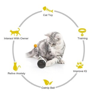 Foto 3 | Foto 3 | Juguetes Para Gatos, Balanceo, Balanceo, Para Gatos, Gatitos, Balanceo, Coche - Venta Internacional.