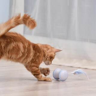 Foto 5 | Foto 5 | Luz Led Interactiva Inteligente Para Gatos Huoguo, Con Carga Usb - Venta Internacional.