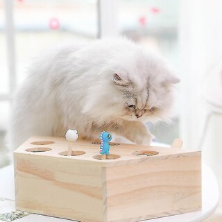 Foto 3 | Foto 3 | Juguete Interactivo Para Mascotas Cat Toy Triangle Para Jugar Y Hacer Ejercicio - Venta Internacional.