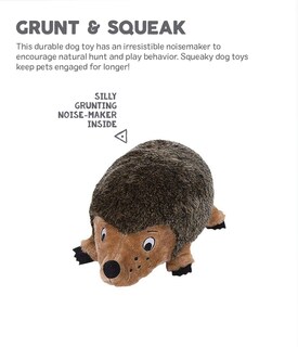 Foto 3 | Foto 3 | Juguete De Peluche Para Perros Outward Hound Hedgehogz, Tamaño Grande - Venta Internacional.