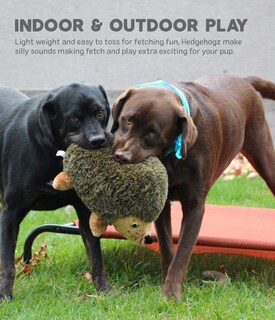Foto 4 | Foto 4 | Juguete De Peluche Para Perros Outward Hound Hedgehogz, Tamaño Grande - Venta Internacional.