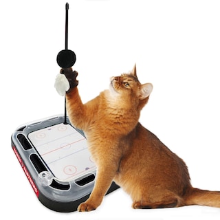 Foto 4 | Foto 4 | Juguete Para Rascar Gatos Pets First Nhl Florida Panthers Hockey - Venta Internacional.