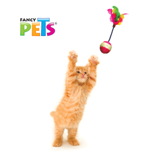 Foto 3 | Foto 3 | Juguetes para Gato Fancy Pets 16 Piezas