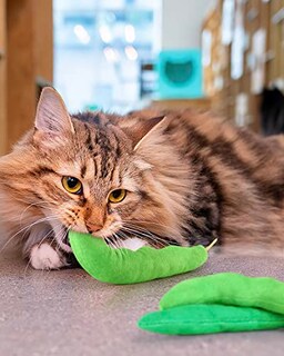Foto 4 | Foto 4 | Juguete De Hierba Gatera Ciyvolyeen Green Bean Para Gatos Y Gatitos - Venta Internacional.