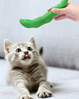 Foto 5 | Foto 5 | Juguete De Hierba Gatera Ciyvolyeen Green Bean Para Gatos Y Gatitos - Venta Internacional.