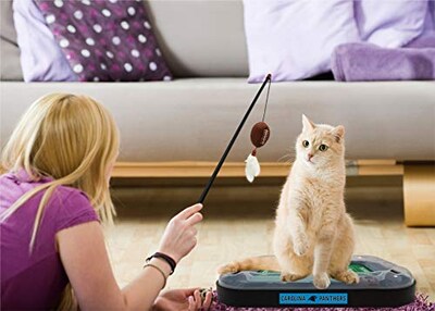 Foto 2 | Foto 2 | Cat Scratcher Toy Pets First Nfl Carolina Panthers Football - Venta Internacional.